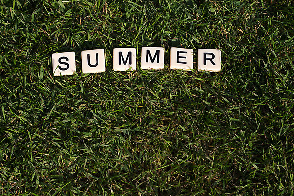 포토 JPG 해외이미지 계절 텍스트 자연 잔디 사람없음 야외 초록색 여름 단어 메시지 타일 해외202004 해외포토 식물 문자 컬러 생태계 파일형식 이미지허브