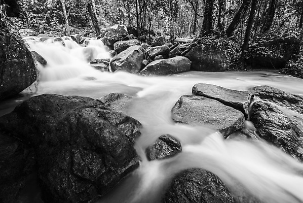 포토 JPG 해외이미지 나무 식물 공원 잎 모션 태국 자연 휴가 휴식 풍경 사람없음 목재 초록색 물 강 놀람 봄 폭포 흐름 가을 신선 개울 숲 시원함 당구 순수 즐거움 에메랄드 천국 내추럴 삼림지대 파라다이스 현재 해외202004 해외포토 자연요소 계절 공공시설 감정 아시아 컬러 컨셉 재료 표정 구기 보석 생태계 파일형식 이미지허브