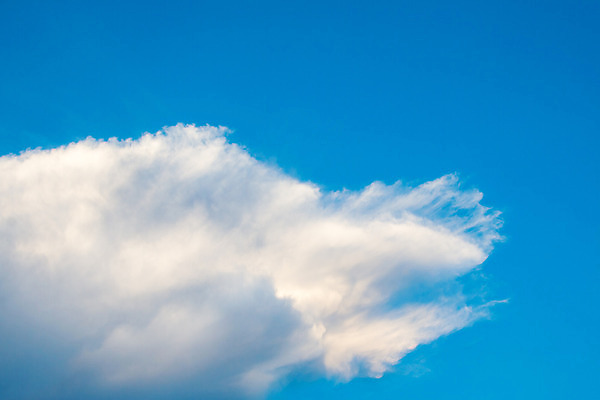 포토 JPG 해외이미지 구름 백그라운드 패턴 자연 하늘 바람 날씨 추상 휴식 풍경 사람없음 야외 여름 파란색 빛 햇빛 우주 환경 에너지 자유 흰색 물방울 오픈 투명 분위기 순수 장면 천국 솜털 스카이라인 오존 천창 해외202004 해외포토 자연요소 계절 컬러 컨셉 무늬 태양 생태계 파일형식 이미지허브