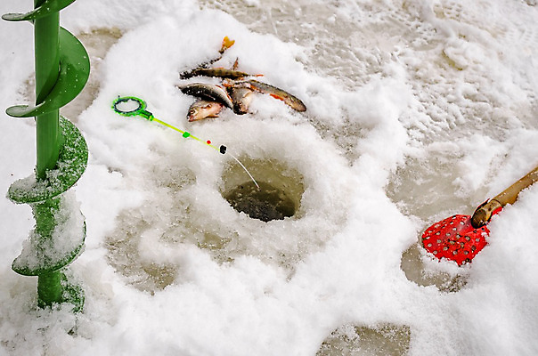 포토 JPG 해외이미지 직업 손 계절 호수 겨울 자연 성공 낚시 저울 손바닥 어류 사람없음 빛 냉동 얼음 추위 잡기 트로피 쇼 낚시꾼 지느러미 민물 해외202004 해외포토 자연요소 컨셉 모션 레저 신체부위 수중동물 상_우승 생태계 파일형식 이미지허브