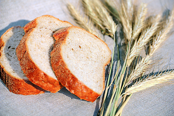 포토 JPG 해외이미지 음식 빵 조각 백그라운드 농업 다이어트 재료 건강 옥수수 요리 사람없음 농작물 농장 갈색 노란색 머리 식사 저녁식사 회색 수확 시골 신선 맛 아침식사 농부 낟알 시리얼 밀 굽기 먹기 유기농 귀 부드러움 내추럴 바이오 밭일 숙성 채식주의자 호밀 해외202004 해외포토 직업 웰빙 산업 컬러 컨셉 모션 곡류 신체부위 감각 구이 채식 파일형식 이미지허브