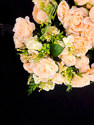 포토 JPG 해외이미지 식물 꽃 백그라운드 국화 사람없음 장식 컬러풀 가을 벨벳 해외202004 해외포토 계절 컬러 실크 파일형식 이미지허브