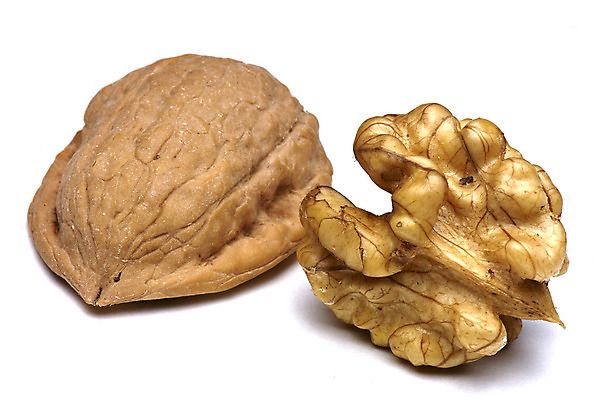 포토 JPG 해외이미지 음식 백그라운드 자연 건조 건강 사람없음 갈색 견과류 껍질 흰색 그룹 오브젝트 알맹이 호두 내추럴 고립 해외202004 해외포토 컬러 생태계 파일형식 이미지허브