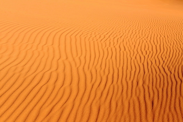 포토 JPG 해외이미지 모래 여행 백그라운드 패턴 오렌지 자연 표면 추상 건조 풍경 사람없음 야외 여름 노란색 사막 뜨거움 황무지 황금 땅 모래언덕 질감 먼지 가뭄 내추럴 해외202004 해외포토 계절 컬러 무늬 과일 날씨 언덕 생태계 파일형식 이미지허브