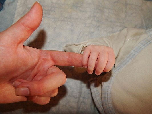 포토 JPG 해외이미지 백인 아들 어린이 2 손가락 가족 엄마 사랑 사람 성인 사람없음 흰색 잡기 아빠 보호 작음 돌봄 지원 해외202004 해외포토 서양인 손 감정 컬러 컨셉 관계 모션 크기 파일형식 이미지허브