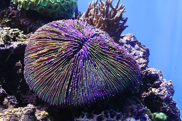 포토 JPG 해외이미지 사람없음 해외202004 해외포토 파일형식 이미지허브