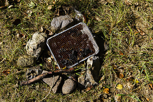 포토 JPG 해외이미지 라이프스타일 자연 덴마크 사람없음 야외 환경 쓰레기 숲 청소 은박지 부식 옛날 해외202004 해외포토 북유럽 생활 생태계 파일형식 이미지허브