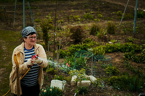 포토 JPG 해외이미지 식물 라이프스타일 공원 여자 노년 행복 컨셉 밭 자연 주택 한명 사람 풍경 잔디 성인 취미 야외 물 여름 환경 정원 맑음 봄 장비 성장 떨어짐 땅 은퇴 뿌리기 물주기 원예 분무기 호스 돌봄 뒤뜰 스프링쿨러 원예사 해외202004 해외포토 자연요소 직업 1 계절 공공시설 감정 농업 모션 날씨 건물 생활 생태계 파일형식 이미지허브