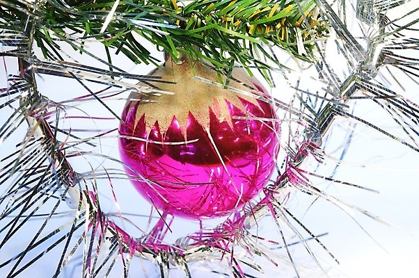 포토 JPG 해외이미지 나무 식물 전통 크리스마스 겨울 공 유리 벽지 휴가 새로움 새해 기념 미술 사람없음 장식 빨간색 초록색 빛 크리스마스트리 산타클로스 스크린 축제 나뭇가지 축하 소나무 원형 신용카드 황금 닫기 연도 엽서 전나무 엘리먼트 가문비나무 해외202004 해외포토 도형 계절 기념일 컬러 컨셉 모션 재질 문화예술 금융 편지 파일형식 이미지허브