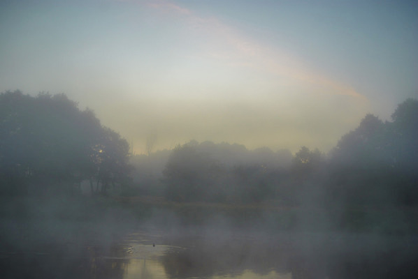 포토 JPG 해외이미지 나무 식물 구름 계절 공원 호수 여행 백그라운드 잎 자연 하늘 풍경 사람없음 야외 목재 초록색 물 여름 파란색 빛 강 컬러풀 햇빛 태양 반사 환경 봄 흐름 안개 가을 바위 흰색 시골 신선 개울 숲 장면 내추럴 뿌연 생태학 해외202004 해외포토 자연요소 공공시설 교육 컬러 컨셉 재료 날씨 돌_바위 생태계 파일형식 이미지허브