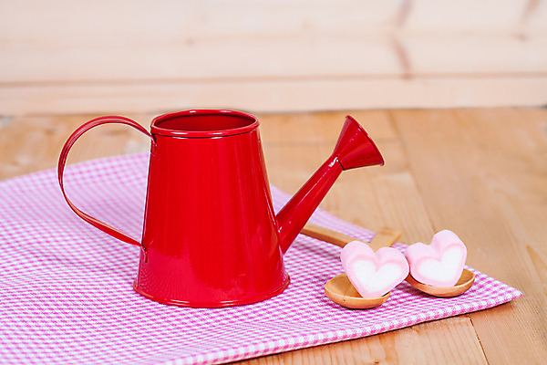 포토 JPG 해외이미지 모양 결혼 컨셉 아이디어 발렌타인데이 사랑 사람없음 꽃병 하트 축하 캔 냄비 심볼 물주기 해외202004 해외포토 꽃 감정 모션 데이이벤트 이벤트 솥 파일형식 이미지허브