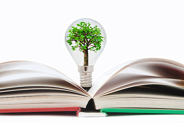 포토 JPG 해외이미지 나무 식물 과학 비즈니스 전구 상상 아이디어 창조 사람없음 책 스터디 환경 성장 램프 오픈 작가 문학 페이지 해외202004 해외포토 직업 컨셉 조명 학습 파일형식 이미지허브