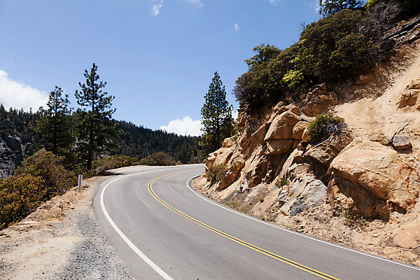 포토 JPG 해외이미지 나무 식물 공원 여행 잎 자국 자연 휴가 산 풍경 사람없음 초록색 미국 하이킹 소나무 황무지 숲 큼 캘리포니아 거인 천연기념물 전국 해외202004 해외포토 공공시설 컬러 북아메리카 레저 크기 생태계 파일형식 이미지허브