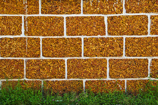 포토 JPG 해외이미지 벽 조각 백그라운드 패턴 오렌지 태국 벽지 표면 날씨 벽돌 돌담 사람없음 건물 일상 가로 빨간색 세로 갈색 노란색 블록 도시 얼룩 역사 파편 건축가 타일 질감 시멘트 점토 벽돌담 직사각형 고체 옛날 콘크리트 많음 규칙적 해외202004 해외포토 도형 직업 건축물 아시아 컬러 컨셉 무늬 과일 라이프 담장 돌_바위 파일형식 이미지허브