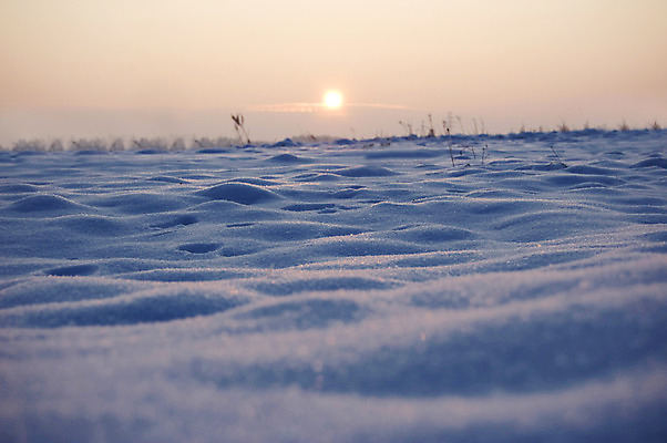 포토 JPG 해외이미지 계절 백그라운드 겨울 자연 풍경 사람없음 야외 파란색 태양 냉동 얼음 일몰 추위 흰색 서리 창백 해외202004 해외포토 자연요소 컬러 노을 생태계 파일형식 이미지허브