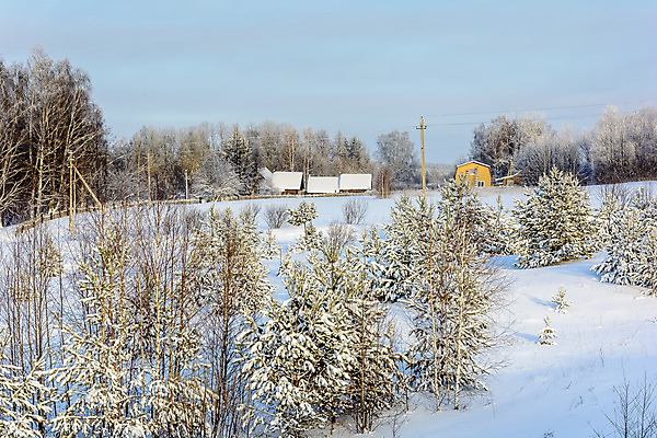 포토 JPG 해외이미지 나무 식물 구름 디자인 계절 공원 여행 백그라운드 크리스마스 겨울 밭 자연 하늘 지붕 날씨 산 주택 풍경 사람없음 야외 목재 초록색 파란색 빛 울타리 햇빛 태양 갈색 마을 환경 맑음 냉동 얼음 검은색 추위 흰색 나뭇가지 시골 기둥 숲 오두막 언덕 서리 장면 상록수 침엽수 전나무 원뿔 내추럴 교외 제설기 가문비나무 수평선 해외202004 해외포토 자연요소 도형 공공시설 기념일 건축 컬러 농업 재료 건물 담장 생태계 제설 파일형식 이미지허브