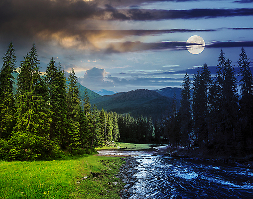 포토 JPG 해외이미지 주간 나무 구름 하늘 풍경 사람없음 야외 강 보름달 달 비교 야간 해외202004 해외포토 자연요소 식물 컨셉 파일형식 이미지허브