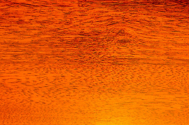 포토 JPG 해외이미지 백그라운드 패턴 벽지 탁자 표면 추상 바닥 사람없음 내부 목재 갈색 어둠 수확 골동품 시골 판넬 거친 널 부식 질감 복고 그런지 옛날 합판 파케트 해외202004 해외포토 나무 컬러 가구 무늬 농업 재료 파일형식 이미지허브