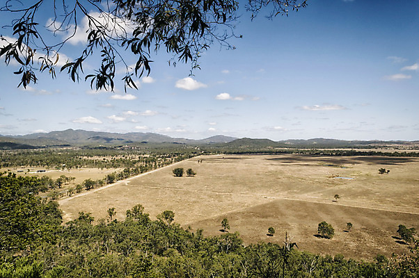 포토 JPG 해외이미지 나무 구름 여행 자연 하늘 날씨 휴가 휴식 건조 풍경 사람없음 야외 여름 사막 황무지 호주 고독 언덕 멀리 오지 해외202004 해외포토 자연요소 식물 계절 감정 컨셉 오세아니아 생태계 파일형식 이미지허브