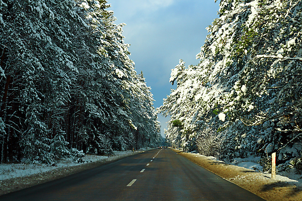 포토 JPG 해외이미지 나무 도로 여행 겨울 교통시설 자연 하늘 안전 풍경 사람없음 야외 노란색 얼음 침묵 운전 추위 흰색 소나무 배달원 숲 위험 시원함 12월 서리 장면 지역 광택 조심 물류 폴란드 1월 2월 공급 해외202004 해외포토 자연요소 식물 직업 계절 유럽 길 컬러 교통 컨셉 모션 소리 날짜 시설 생태계 파일형식 이미지허브
