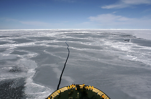 포토 JPG 해외이미지 겨울 조류 풍경 사람없음 냉동 얼음 보트 남극 북극 펭귄 함선 봉 단절 원정 해외202004 해외포토 자연요소 동물 계절 배_교통 극지방 파일형식 이미지허브