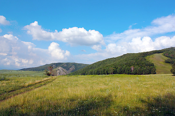 포토 JPG 해외이미지 나무 구름 계절 잎 밭 농업 자연 하늘 산 파노라마 풍경 잔디 사람없음 야외 가로 초록색 여름 파란색 햇빛 태양 환경 계곡 침묵 황무지 숲 땅 언덕 산등성이 장면 지역 상록수 침엽수 내추럴 넘어짐 해외202004 해외포토 자연요소 식물 산업 컬러 모션 촬영기법 소리 생태계 파일형식 이미지허브