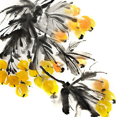 JPG 해외이미지 꽃 일러스트 붓터치 미술 사람없음 노란색 먹 동양화 그림 번짐 해외202004 해외일러스트 식물 컬러 서예 문화예술 파일형식 효과 이미지허브