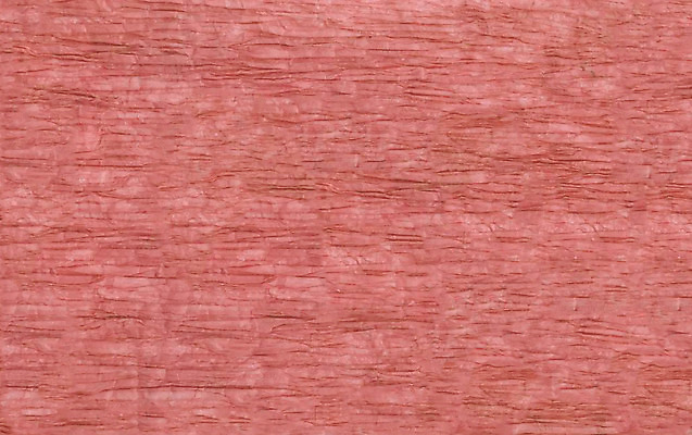 포토 JPG 해외이미지 종이 백그라운드 컨셉 포장 모션 벽지 추상 선물 사람없음 가로 빨간색 초록색 파란색 컬러풀 사무실 갈색 우주 놀람 공백 손상 회색 거친 주름 질감 문서 롤 패키지 타자기 시트 타입 내추럴 구김 양피지 옛날 해외202004 해외포토 감정 컬러 무늬 비즈니스 표정 골동품 파일형식 이미지허브