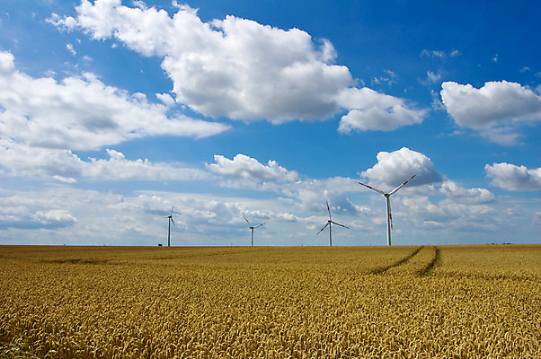 포토 JPG 해외이미지 식물 산업 밭 자연 하늘 바람 풍경 사람없음 초록색 파란색 글로벌 환경 탑 금속 힘 재활용 풍차 발전기 에너지 흰색 변화 역 보호 자원 세대 유지 방앗간 혁명 개발 이산화탄소 효율 공급 해외202004 해외포토 자연요소 건축물 컬러 컨셉 농업 교통시설 재질 날씨 발전소 친환경 생태계 파일형식 이미지허브