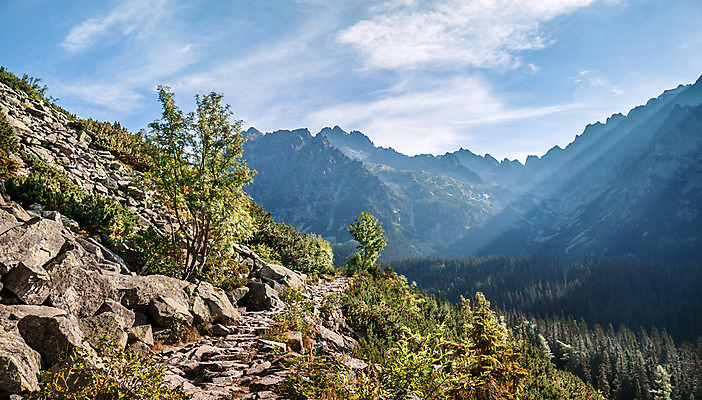 포토 JPG 해외이미지 나무 구름 유럽 길 여행 자국 자연 하늘 휴가 산 풍경 사람없음 야외 목재 초록색 여름 태양 걷기 환경 계곡 맑음 침묵 하이킹 바위 시골 소나무 정상 숲 언덕 즐거움 휴양지 산등성이 산악지대 루트 생태학 슬로바키아 웅장함 절정 해외202004 해외포토 자연요소 식물 계절 교육 감정 나라 컬러 재료 모션 레저 날씨 소리 장소 돌_바위 생태계 파일형식 이미지허브