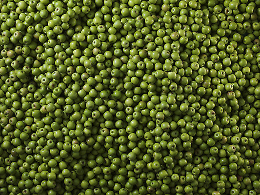 포토 JPG 해외이미지 스튜디오촬영 음식 백그라운드 패턴 채소 과일 사람없음 초록색 물 하이앵글 컬러풀 젖음 물방울 신선 닫기 사과 오브젝트 상쾌 유기농 날것 일렬 건강식 해외202004 해외포토 자연요소 웰빙 감정 뷰포인트 컬러 무늬 모션 실내 파일형식 이미지허브