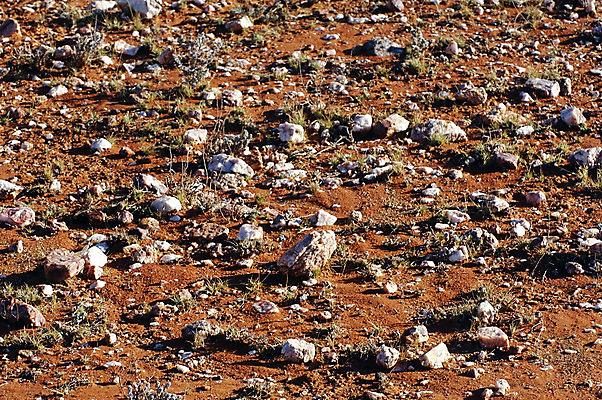 포토 JPG 해외이미지 지구 모래 백그라운드 자연 표면 추상 건조 풍경 사람없음 갈색 환경 맑음 흙 호주 땅 질감 지역 내추럴 땅바닥 서쪽 오지 지질학 해외202004 해외포토 교육 컬러 무늬 날씨 바닥 오세아니아 방향 생태계 파일형식 이미지허브