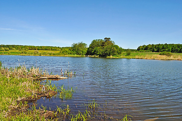 포토 JPG 해외이미지 나무 호수 여행 하늘색 백그라운드 밭 자연 하늘 날씨 휴식 갈대 풍경 사람없음 야외 목재 초록색 물 여름 파란색 강 마을 침묵 봄 시골 신선 숲 강가 러시아 먼지 수평선 해외202004 해외포토 자연요소 식물 계절 유럽 컬러 컨셉 농업 재료 소리 생태계 파일형식 이미지허브
