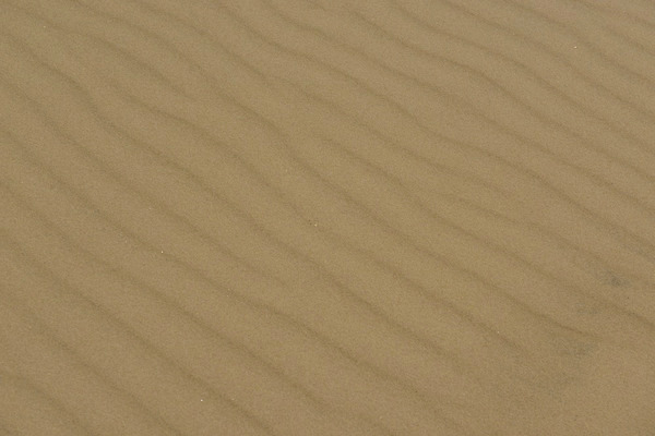 포토 JPG 해외이미지 선 모래 파도 백그라운드 패턴 자연 추상 덴마크 그림자 사람없음 모래사장 갈색 맑음 사막 황금 모래언덕 묘사 부식 질감 사하라 내추럴 스칸디나비아 해외202004 해외포토 바다 컬러 무늬 아프리카 날씨 북유럽 언덕 생태계 파일형식 이미지허브