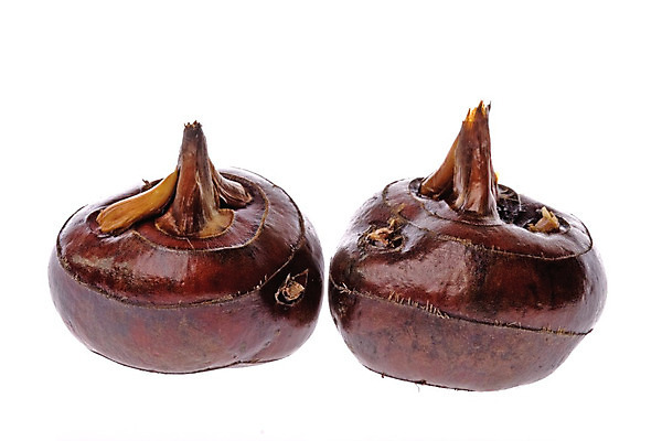 포토 JPG 해외이미지 식물 음식 농업 다이어트 채소 과일 자연 건강 사람없음 초록색 물 견과류 신선 닫기 먹기 유기농 날것 뿌리 내추럴 고립 궤 식용 채식주의자 해외202004 해외포토 자연요소 웰빙 산업 컬러 모션 생태계 채식 파일형식 이미지허브