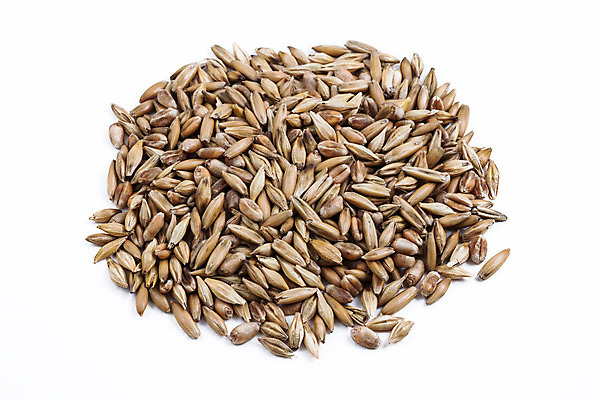 포토 JPG 해외이미지 식물 음식 농업 자연 새로움 건강 씨앗 사람없음 봄 성장 흰색 신선 낟알 시리얼 밀 유기농 고립 모종 해외202004 해외포토 웰빙 계절 산업 컬러 컨셉 곡류 생태계 파일형식 이미지허브