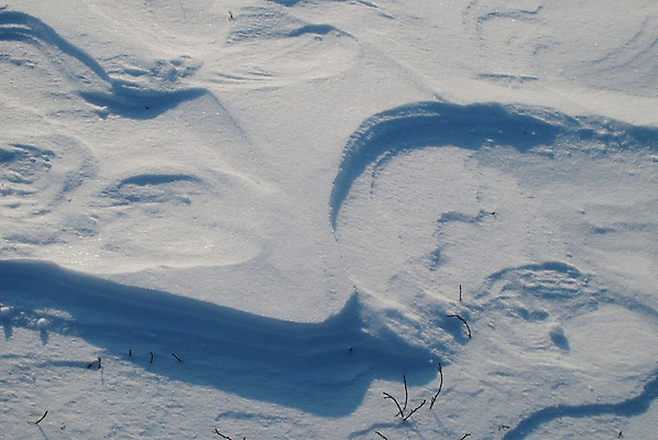 포토 JPG 해외이미지 나무 여행 백그라운드 크리스마스 겨울 자연 하늘 날씨 휴가 스키 산 풍경 사람없음 야외 파란색 얼음 일몰 놀람 추위 흰색 휴양지 산등성이 빙하 서리 러시아 장면 지역 눈보라 1월 절정 눈내림 해외202004 해외포토 자연요소 식물 계절 기념일 감정 유럽 컬러 겨울스포츠 눈_날씨 표정 노을 장소 날짜 생태계 파일형식 이미지허브