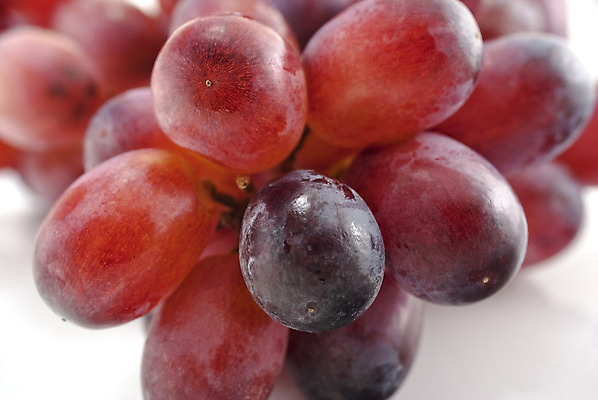 포토 JPG 해외이미지 접시 음식 다이어트 과일 포도 건강 사람없음 빨간색 흰색 닫기 다발 해외202004 해외포토 식기 컬러 모션 파일형식 이미지허브