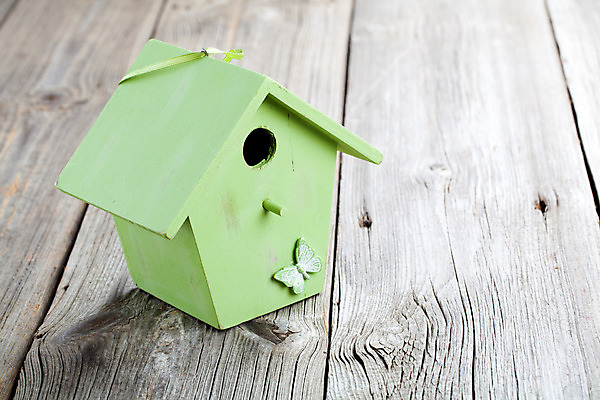 포토 JPG 해외이미지 동물 백그라운드 조류 날씨 새로움 주택 사람 사람없음 목재 초록색 반려동물 상자 갈색 우주 장비 흰색 시골 구멍 닫기 오브젝트 싱글 정사각형 심플 새장 내추럴 해외202004 해외포토 도형 나무 컬러 컨셉 재료 모션 건물 케이지 파일형식 이미지허브