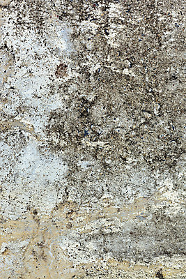 포토 JPG 해외이미지 디자인 벽 조각 백그라운드 패턴 부분 표면 날씨 추상 사람없음 야외 검은색 손상 회색 바위 흰색 도시 점 얼룩 거친 그리기 파편 묘사 질감 시멘트 먼지 안심 구식 그런지 단절 블러 옛날 콘크리트 해외202004 해외포토 컬러 컨셉 무늬 모션 육류 돌_바위 파일형식 이미지허브