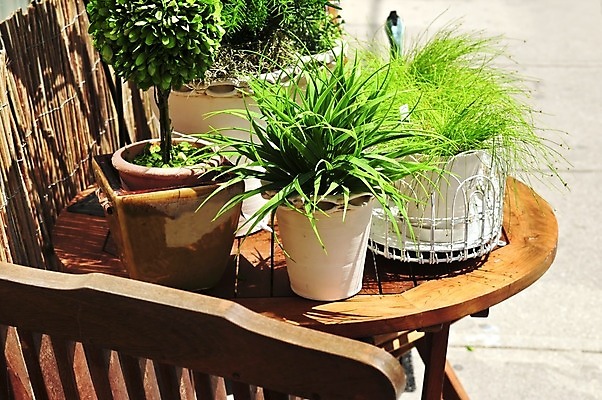 포토 JPG 해외이미지 식물 디자인 외관 화초 가구 의자 자연 탁자 주택 취미 사람없음 야외 목재 장식 초록색 여름 컬러풀 정원 희망 봄 냄비 컨테이너 원예 점토 분재 내추럴 뒤뜰 심기 스타일 해외202004 해외포토 나무 계절 감정 산업 컬러 생활용품 재료 모션 건물 솥 생태계 파일형식 이미지허브