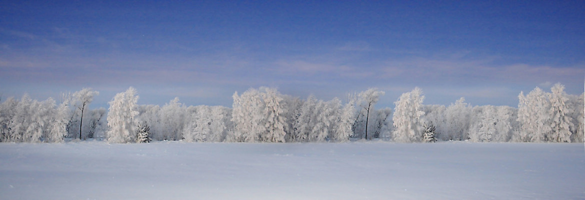 포토 JPG 해외이미지 나무 배너 계절 길 여행 백그라운드 겨울 자연 하늘 바람 휴가 기술 파노라마 풍경 사람없음 야외 가로 파란색 냉동 얼음 추위 안개 흰색 신선 소나무 황무지 야간 숲 12월 북극 서리 장면 지역 북쪽 상록수 솜털 흐림 눈보라 1월 2월 해외202004 해외포토 자연요소 식물 컬러 날씨 눈_날씨 촬영기법 날짜 극지방 방향 생태계 파일형식 이미지허브