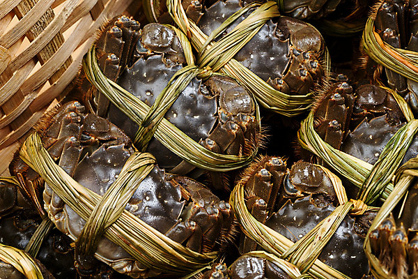 포토 JPG 해외이미지 동물 호수 음식 바다 백그라운드 자연 생물 갑각류 사람없음 중국 거품 게 껍질 가을 흰색 신선 그룹 보행로 맛 상품 큼 해산물 대나무 날것 청록색 고립 민물 생식 수경재배 집게발 생존 많음 해외202004 해외포토 나무 계절 아시아 길 컬러 컨셉 크기 생태계 파일형식 이미지허브