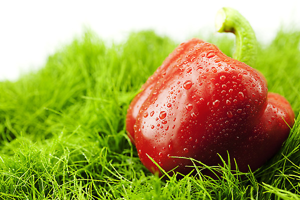 포토 JPG 해외이미지 음식 백그라운드 잎 농업 채소 과일 자연 건강 사람없음 빨간색 초록색 물 여름 빛 농작물 농장 정원 검은색 봄 활발 엄지손가락 수확 흰색 물방울 시골 신선 양념 달콤 맛 땅 다발 먹기 상쾌 유기농 원예 질감 윤곽 후추 고립 광합성 숙성 전경 해외202004 해외포토 자연요소 식물 웰빙 계절 감정 산업 컬러 컨셉 손가락 모션 풍경 취미 향신료 생태계 파일형식 탑뷰 이미지허브