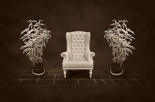 포토 JPG 해외이미지 나무 벽 가구 백그라운드 잎 의자 사람없음 내부 장식 갈색 방 수확 골동품 클래식 고급 우아함 냄비 가죽 복고 안락의자 구식 옛날 해외202004 해외포토 식물 컬러 생활용품 컨셉 농업 솥 파일형식 이미지허브