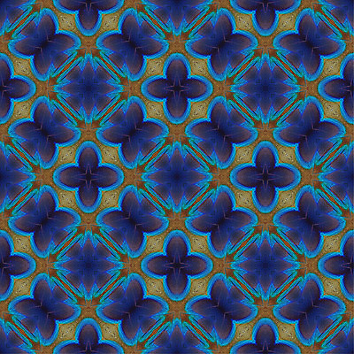 포토 JPG 해외이미지 동물 디자인 백그라운드 패턴 자연 조류 추상 사람없음 초록색 파란색 컬러풀 흰색 공작 깃털 묘사 질감 해외202004 해외포토 컬러 무늬 생태계 파일형식 이미지허브