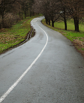포토 JPG 해외이미지 나무 공원 도로 길 잎 밭 곡선 풍경 사람없음 야외 초록색 봄 가장자리 숲 아스팔트 땅 굴곡 해외202004 해외포토 식물 계절 공공시설 선 컬러 농업 교통시설 둘레 파일형식 이미지허브