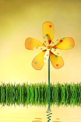 포토 JPG 해외이미지 어린이 백그라운드 무지개 오렌지 자연 놀이 바람 나선형 사람없음 장식 빨간색 초록색 파란색 컬러풀 장난감 노란색 파티 보라색 봄 풍차 게임 바퀴 플라스틱 묘사 방앗간 멀티 타격 해외202004 해외포토 자연요소 계절 컬러 무늬 과일 모션 재질 날씨 사람 이벤트 생태계 파일형식 이미지허브