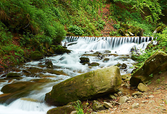 포토 JPG 해외이미지 나무 식물 공원 여행 잎 모션 자연 산 이끼 풍경 사람없음 야외 목재 초록색 물 여름 강 봄 폭포 젖음 흐름 가을 바위 나뭇가지 신선 개울 떨어짐 숲 순수 시트 내추럴 해외202004 해외포토 자연요소 계절 공공시설 컬러 컨셉 재료 돌_바위 생태계 파일형식 이미지허브