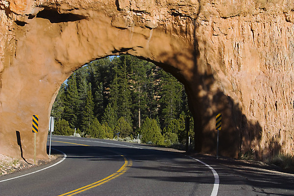 포토 JPG 해외이미지 공원 여행 백그라운드 자연 벽지 하늘 산 풍경 사람없음 빨간색 여행객 환경 골짜기 미국 하이킹 사막 바위 땅 호기심 사암 내추럴 감탄 시온산 전국 지질학 해외202004 해외포토 공공시설 교육 감정 컬러 컨셉 북아메리카 레저 사람 돌_바위 생태계 파일형식 이미지허브
